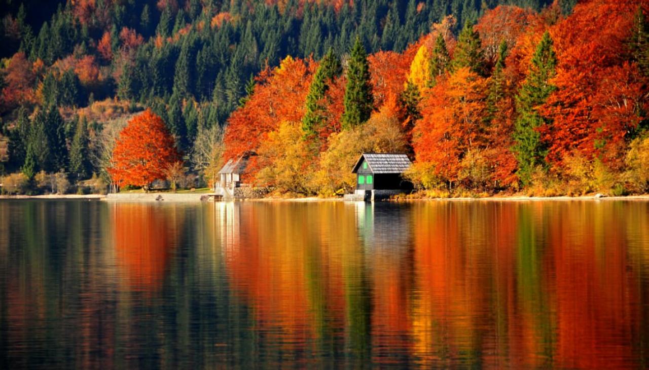 Bohinjsko jezero