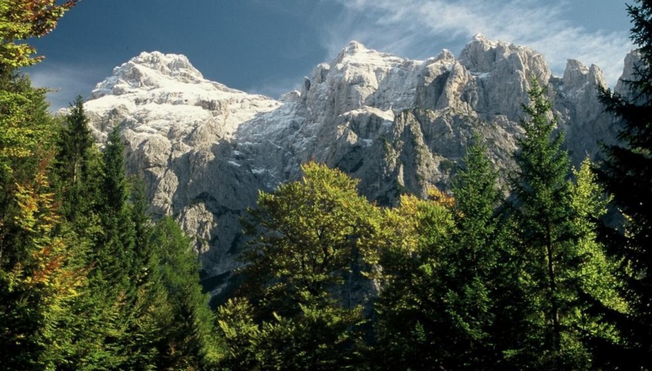 Pěší turistika - Bled