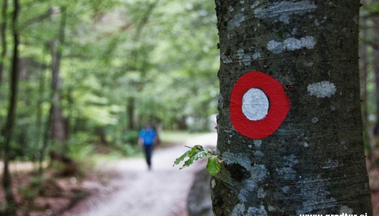 Pěší turistika - Kranjska Gora