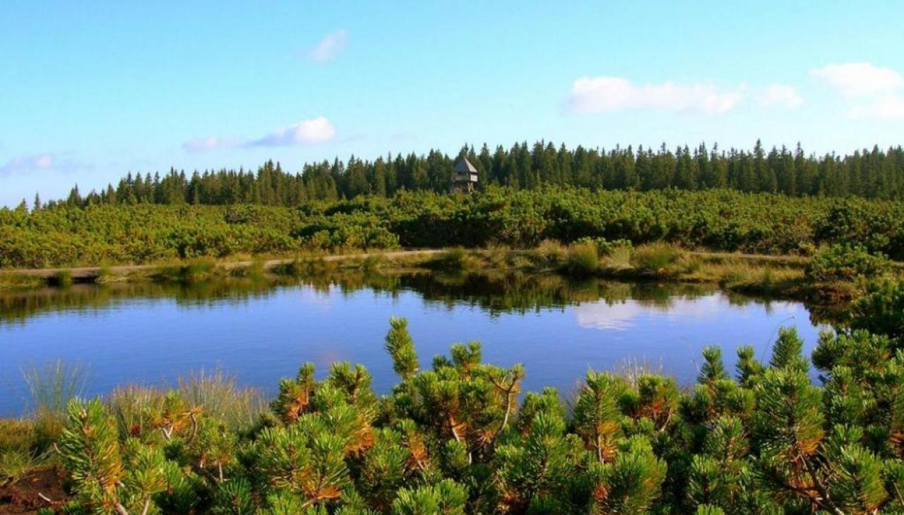 pohodništvo - Pohorje