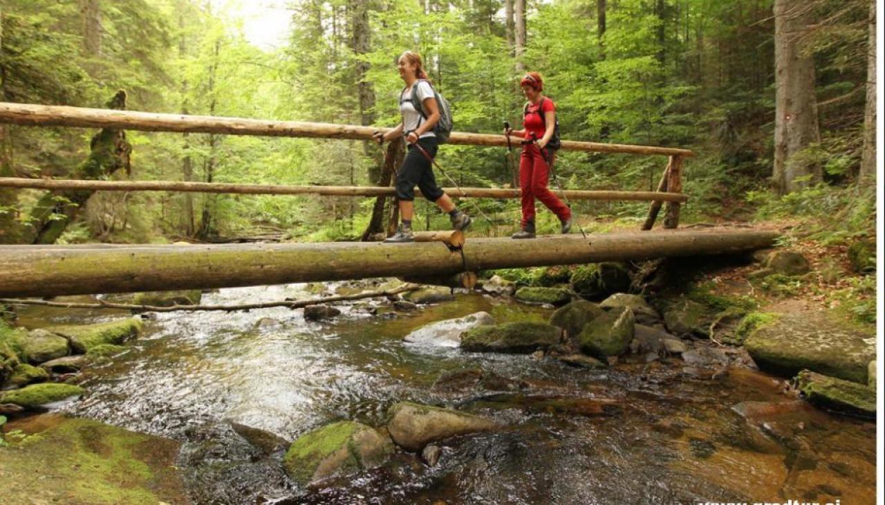 hiking - Pohorje