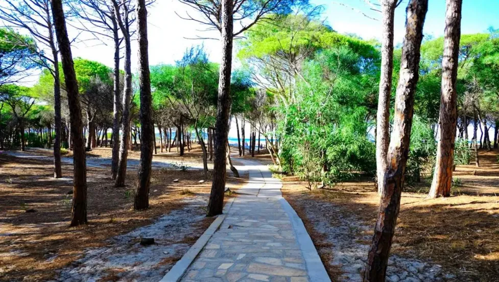 Mobilne hišice Camping Selema